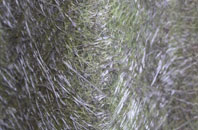 Hoylandswaine fibreglass roof work